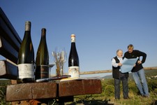 16-WeinlageFuchsmantel-001.JPG