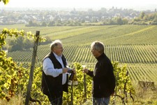 16-WeinlageFuchsmantel-007.JPG