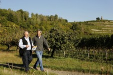 16-WeinlageFuchsmantel-011.JPG